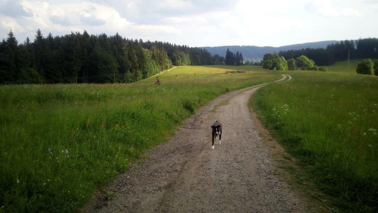 Chata Na Sousi Desná